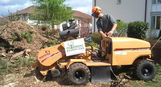 Fahrbare Strunkfräse